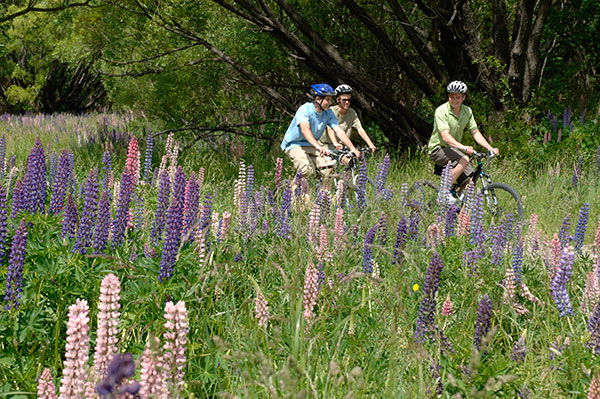 Queenstown International Marathon - Queenstown Trails Trust