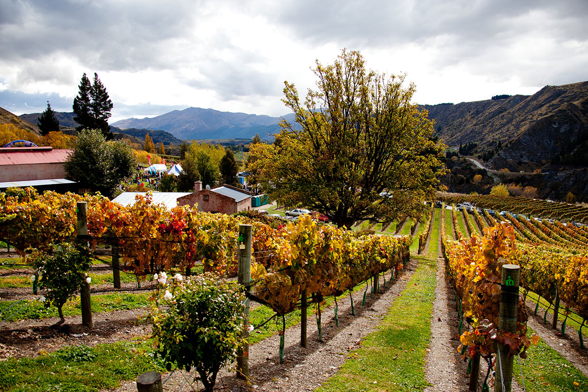 Race Inspired - Queenstown International Marathon